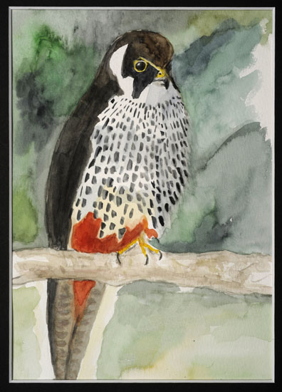 Aquarelle Lisa Taylor